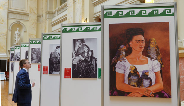 Универзум Дијега и Фриде